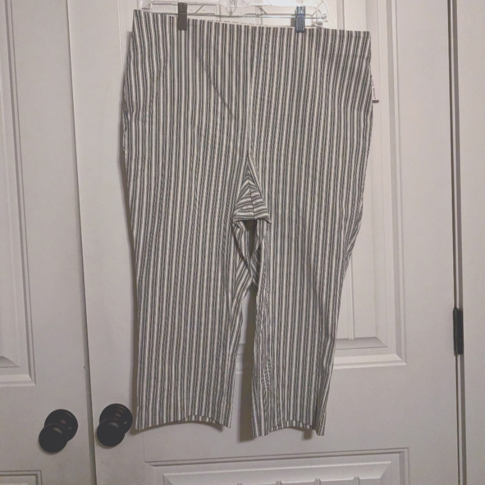 Women's Lane Bryant Capri size 16